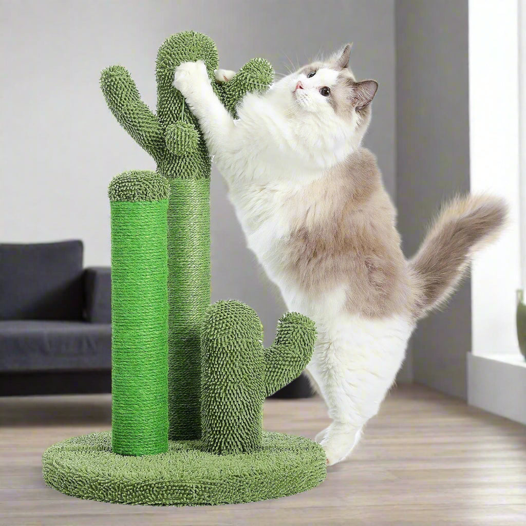 arbre Ă chat bois avec trois poteaux Ă gratter sous forme de cactus