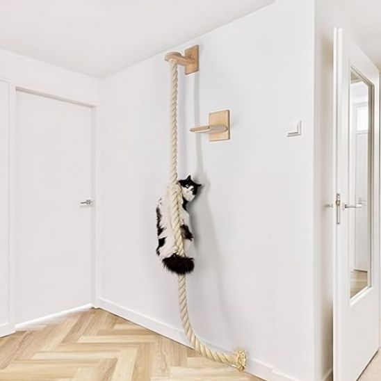 arbre A chat mural avec un chat accrocher
