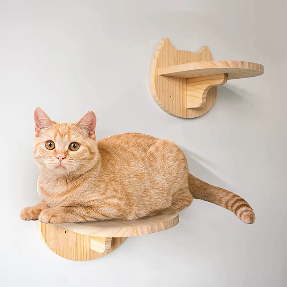 arbre A chat mural avec un chaton reposer sur une planche