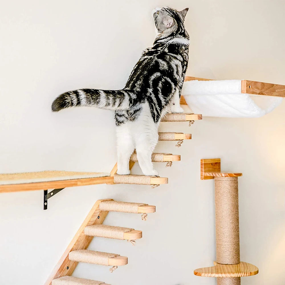 arbre A chat mural avec un chat qui grimpe