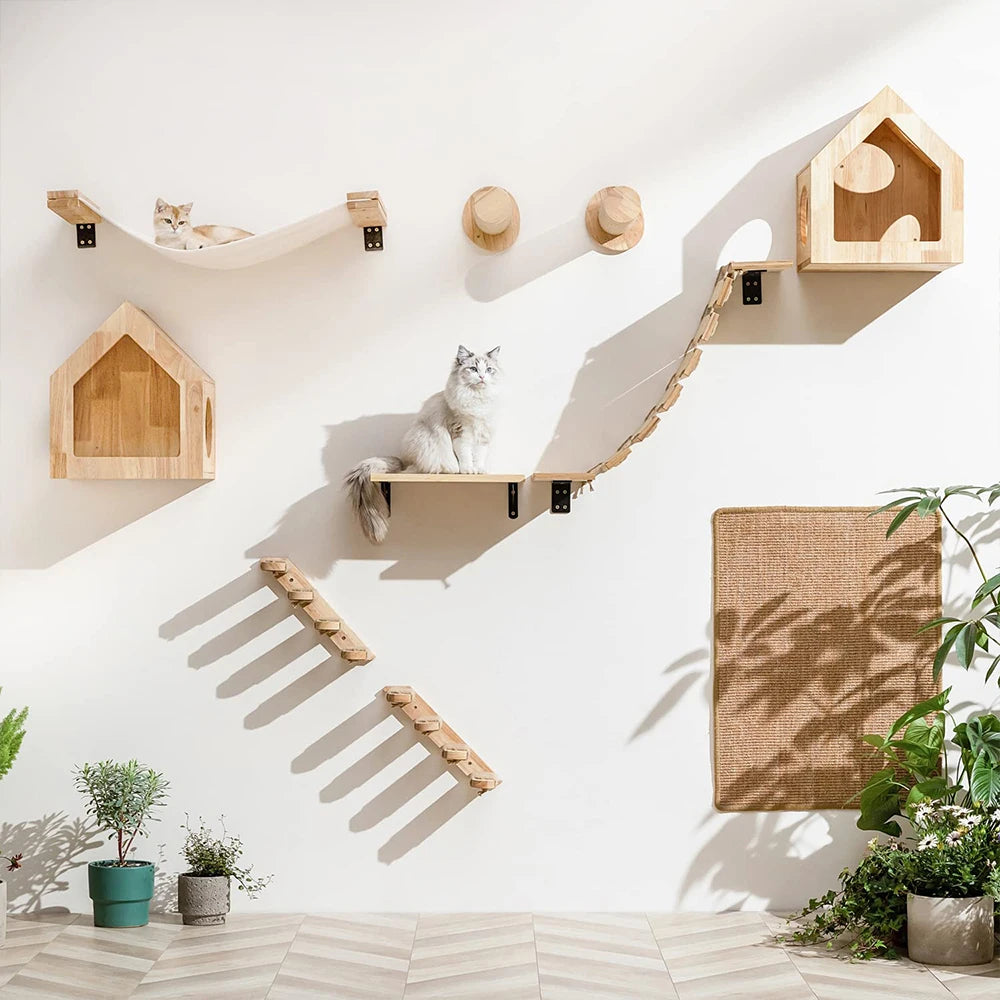 arbre A chat mural parcours avec hamac maison escalier griffoir
