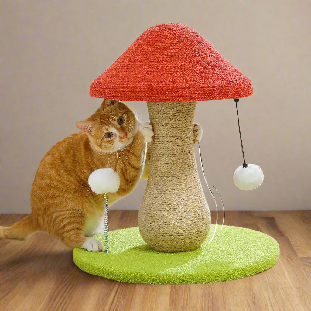 arbre A cat pas cher avec un chaton orange qui griffe