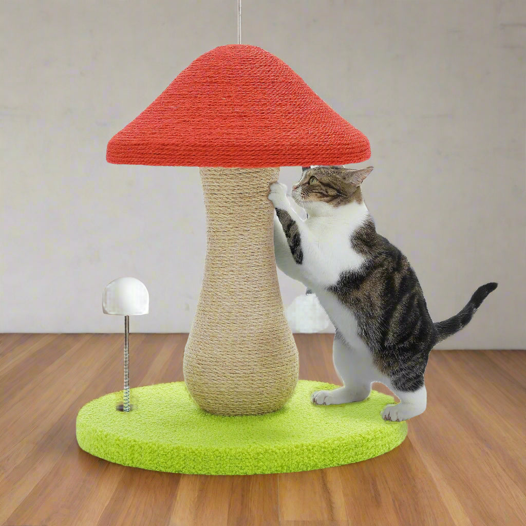 arbre A chat pas cher champignon rouge et vert en sisal et un chaton qui griffe