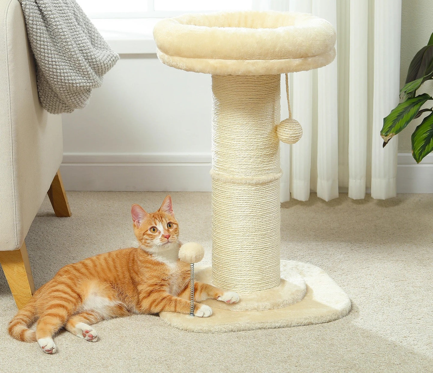 arbre à chat bois beige avec un chat orange assis dessous le banc