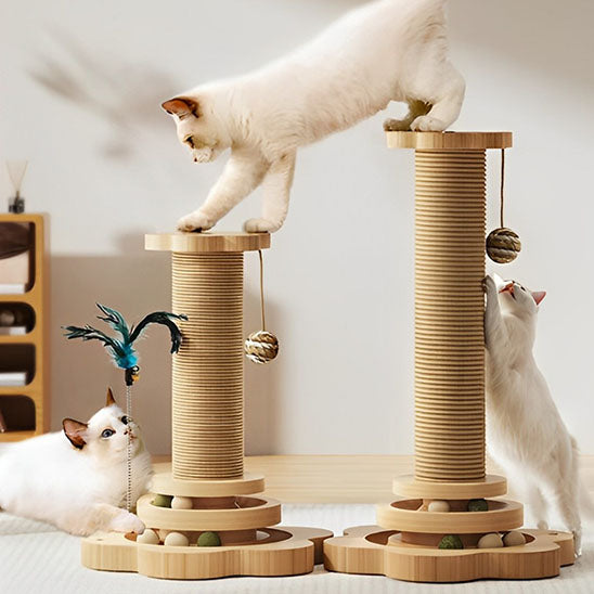 grattoir chat avec trois chat blanc