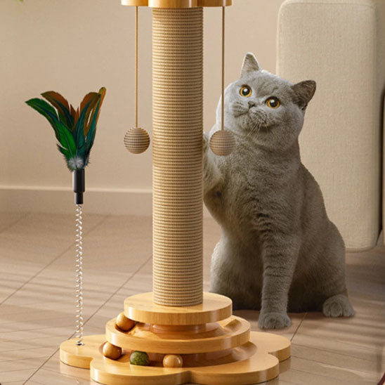 grattoir chat avec chaton gris qui joue