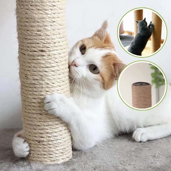 griffoir chat poteau beige et un chat blanc attacher