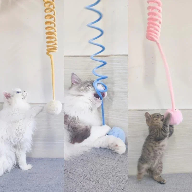 jeu chat avec des couleurs et ressort suspendu