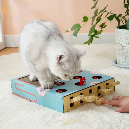 Jouet pour chat - Grattoir 3 en 1