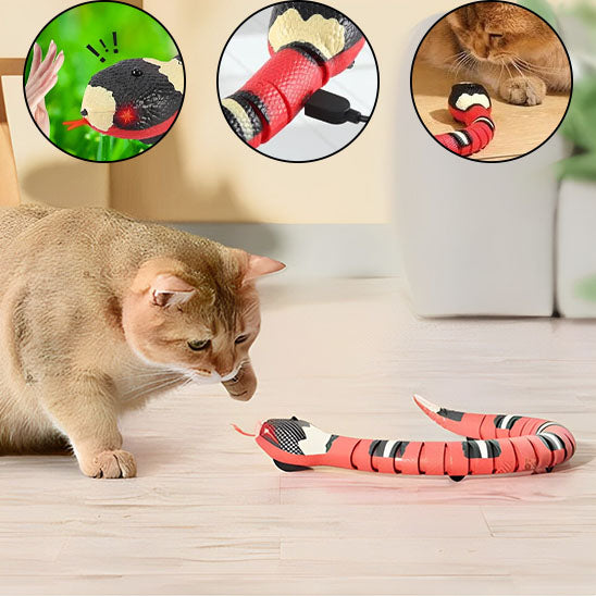 jouet pour chat interactif serpent rechargeable a la touche amusant
