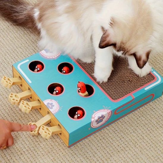 Jouet pour chat - Grattoir 3 en 1