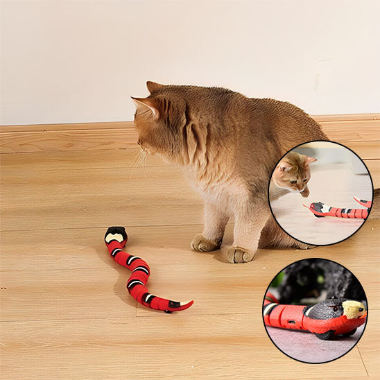jouet pour chat ave un serpent intelligent un chat joue touche avec ses pattes pour le faire marcher