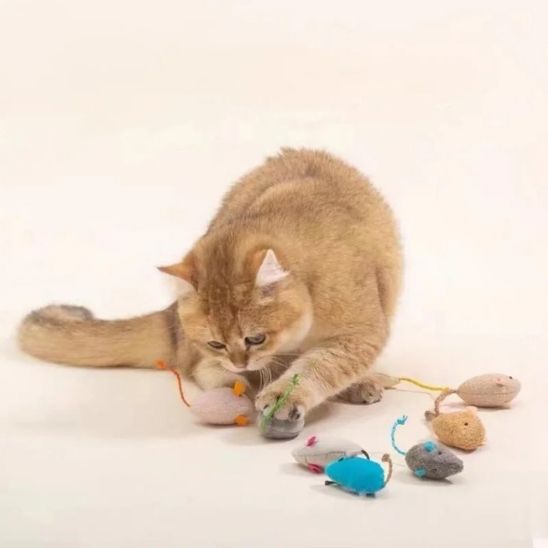 jouets pour chatons avec diffèrent souris à jouer