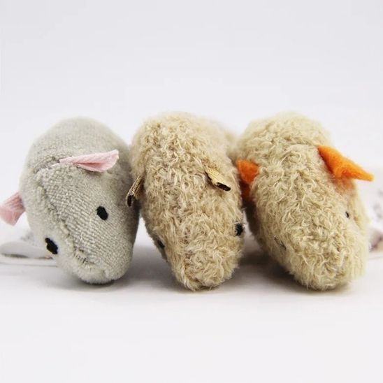 jouets pour chatons avec différent texture