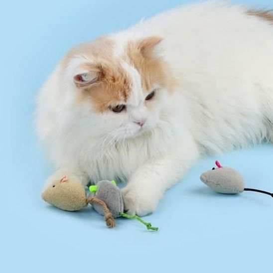 jouets pour chatons avec différent peluche en souris et un chat joue avec