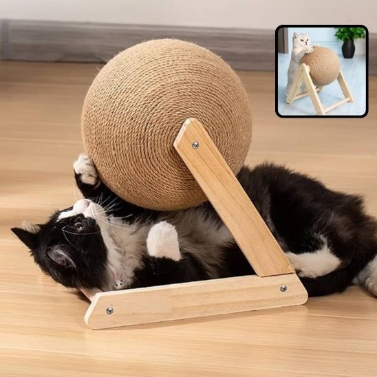 jouets pour les chats avec un chat noir et blanc qui griffe le boule