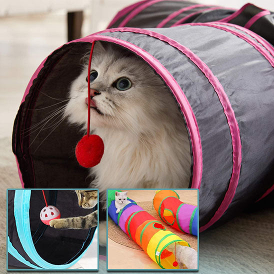 tunnel pour chat avec jeu multicouleur un chat qui joue