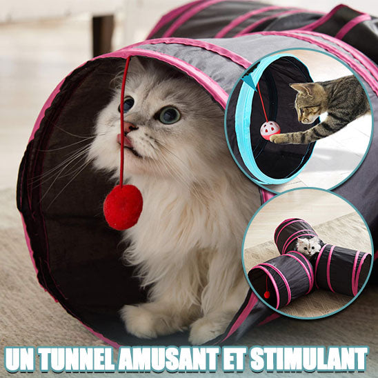 tunnel pour chat avec trois sortie