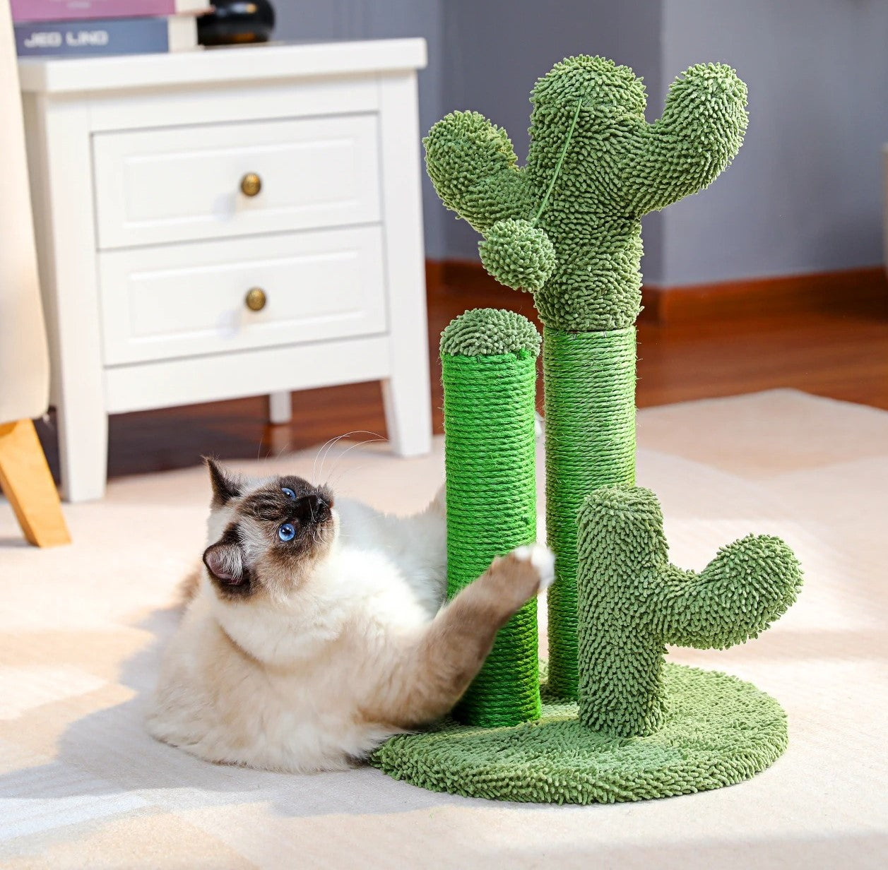 arbre à chat bois avec  siamois qui gratte un poteau