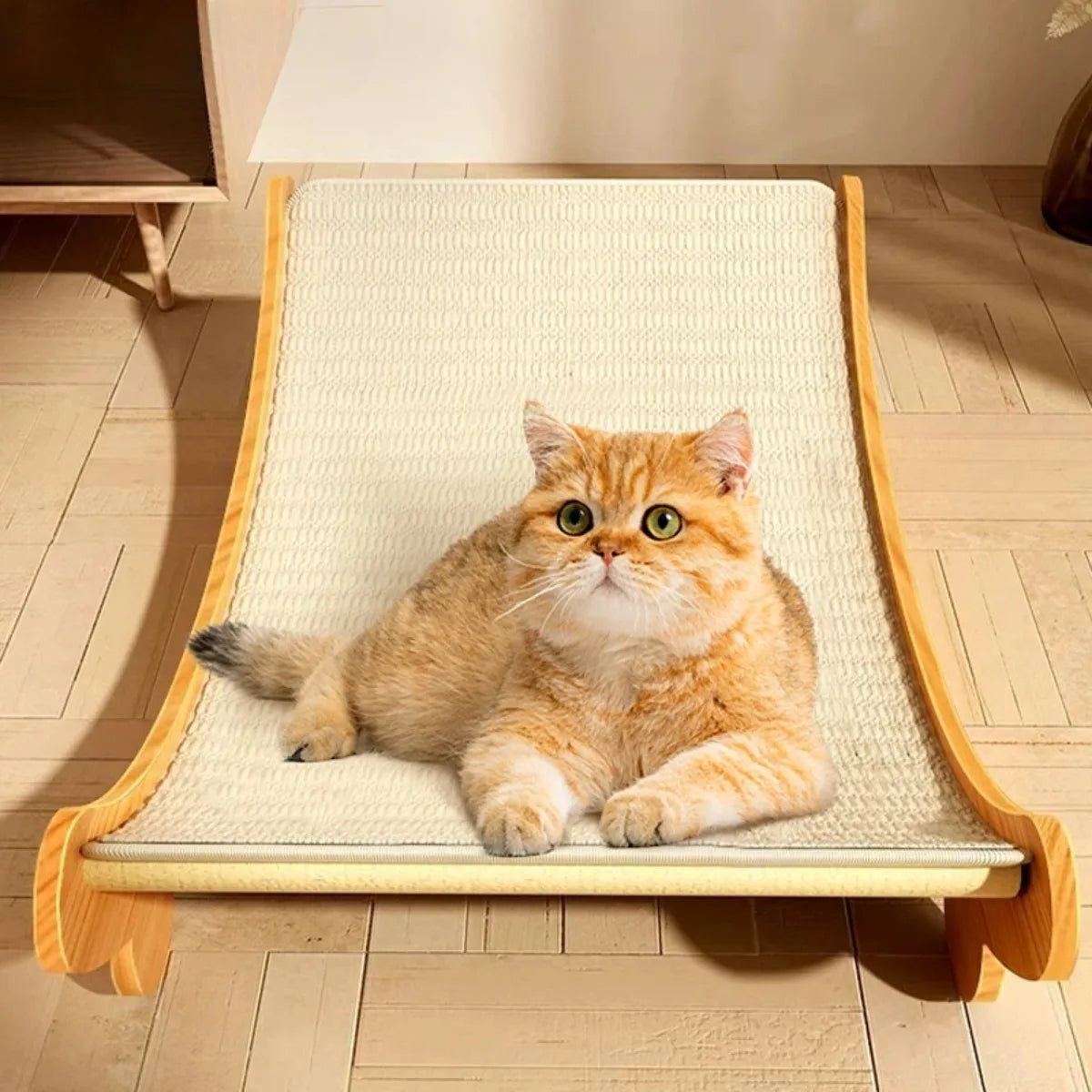 un chat reposer sur un grattoir chat