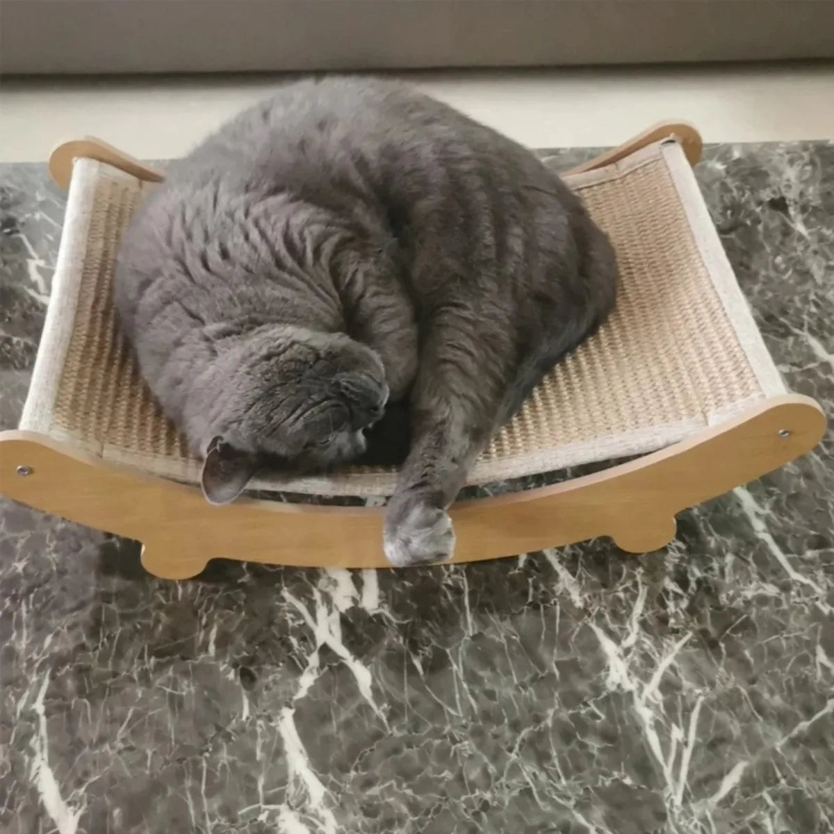 le chat gris dort sur un grattoir chat beige sous forme de hamac