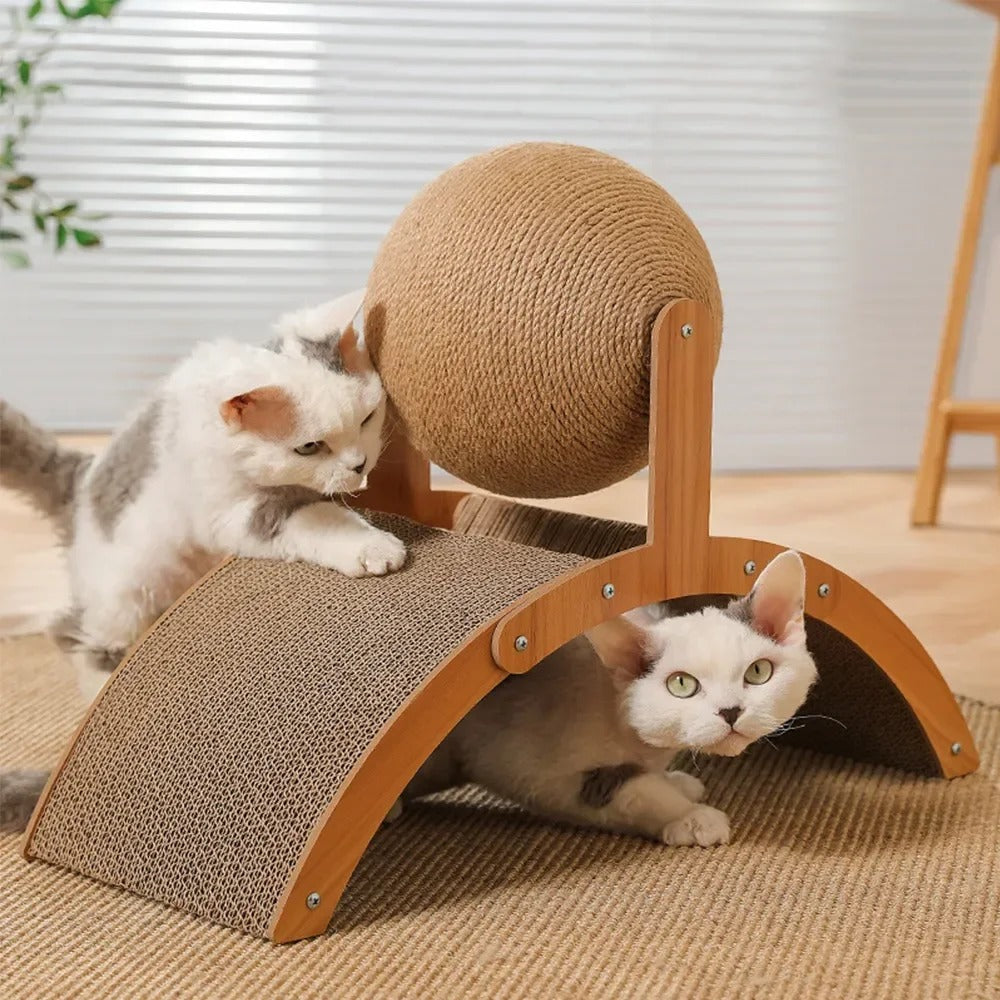 griffoir avec des chatons blanc et gris jouent avec en griffant  