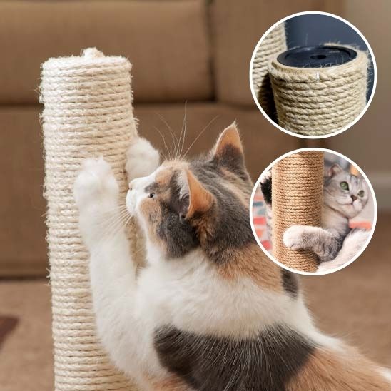 griffoir chat sisal un cat qui griffe les cordes en sisal