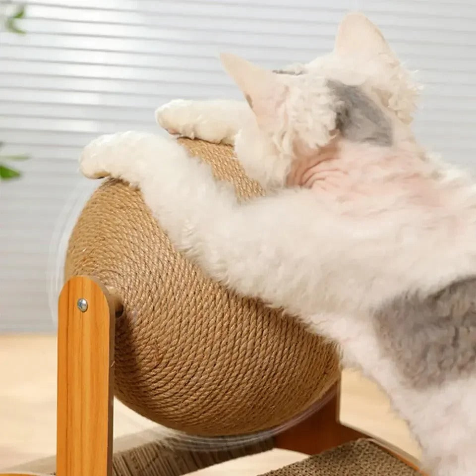griffoir avec un chaton qui griffe le boule