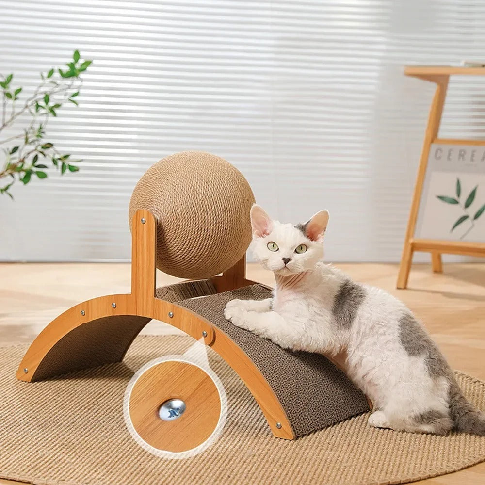 griffoir avec un chaton tacheté griffe le carton 