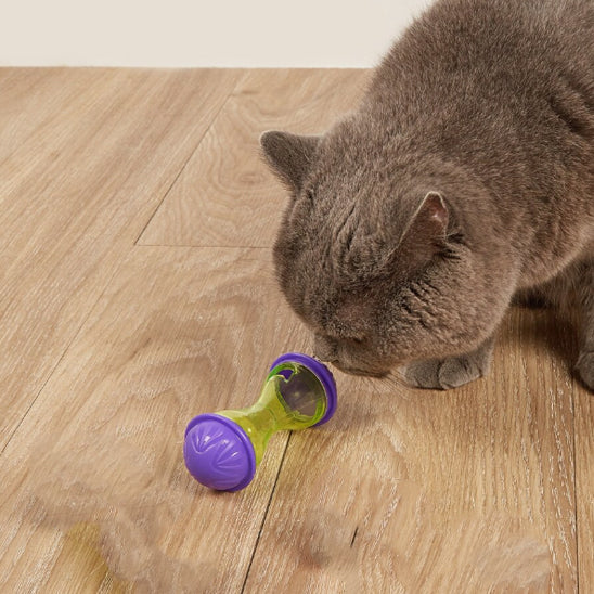 jouet pour chat avec un chat adulte noir  se sentir le jouet 