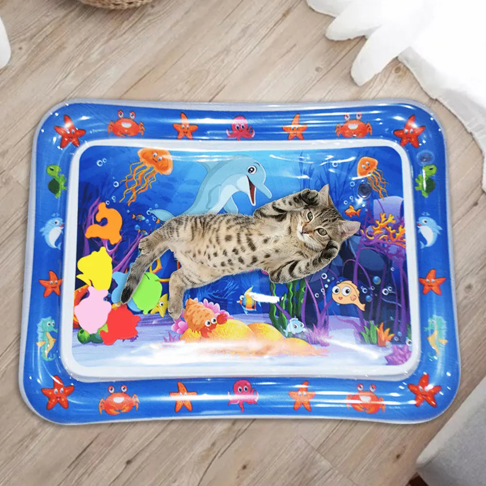 jouet pour chat avec un chat allonger sur le tapis d eau