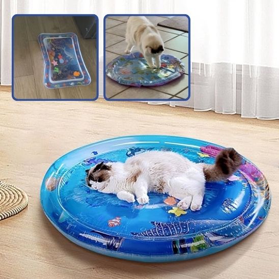 jouet pour chat apis d eau sensoriel gonfler avec un chat fait dormir