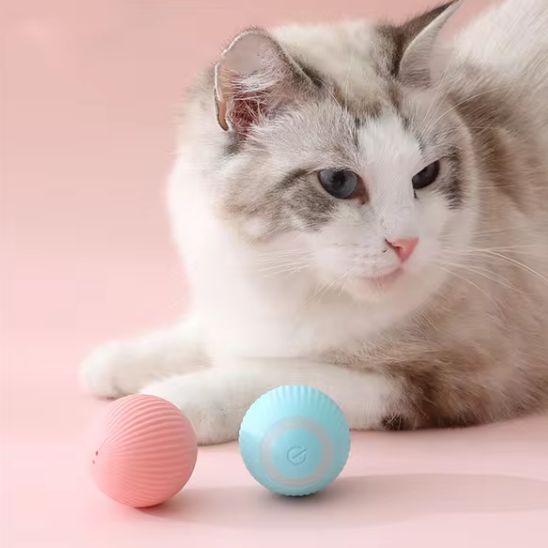 jouets pour chat avec deux couleurs des balle différents 