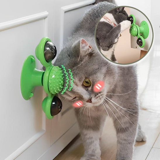 jouets pour les chats tourne moulin a vent verte un chat s amuse mentalement et gratte la tête