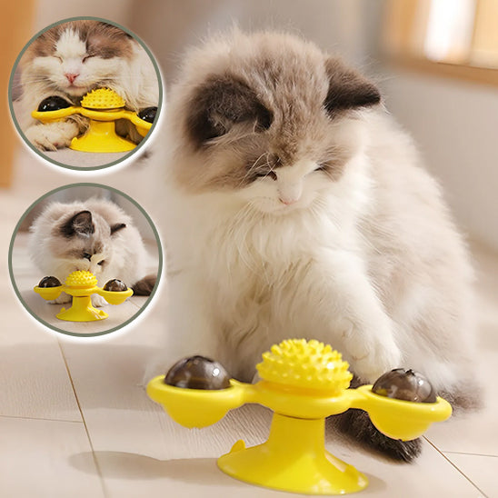 jouets pour les chats multifonctionnelle grattoir brosse les dents 