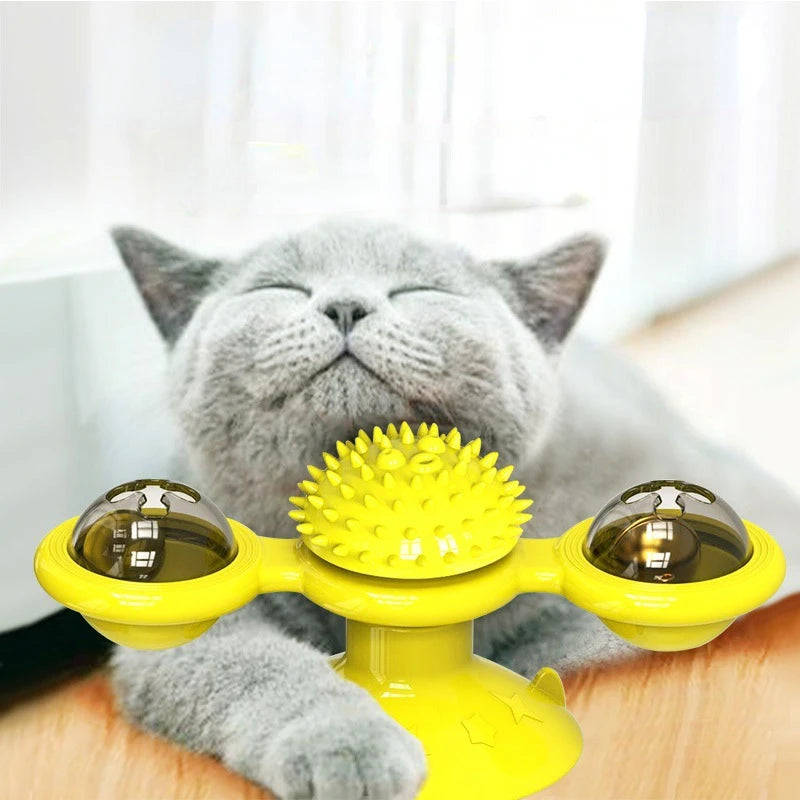 jouets pour les chats avec un chaton qui gratte le visage