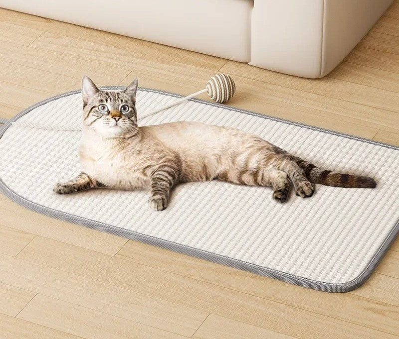 protection canapé chat blanc et un chat prolonger