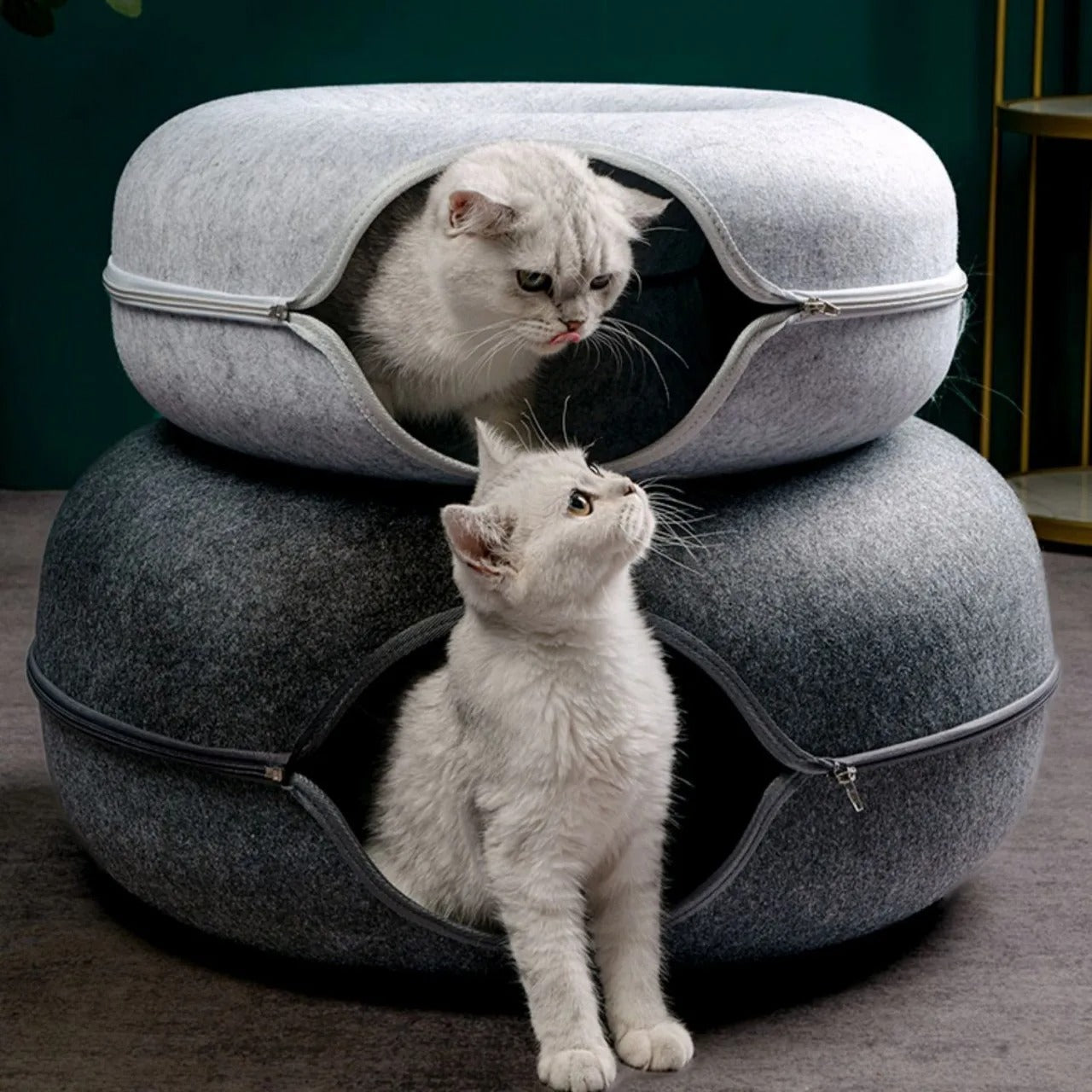 tunnel pour chat deux superposé avec deux chats  qui regardent l'un à l'autre